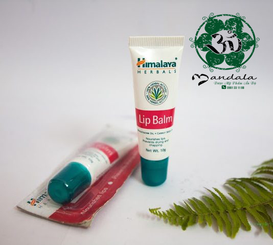 Son dưỡng mầm lúa mạch Himalaya Herbal Lip Balm - DATE T8/2023